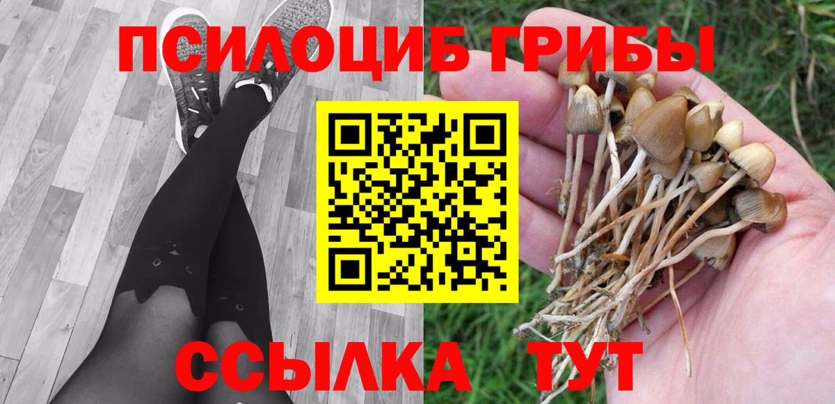 Псилоцибиновые грибы GOLDEN TEACHER  Вход с VPN  Пушкино  Псилоцибиновые грибы Psilocybine cubensis 