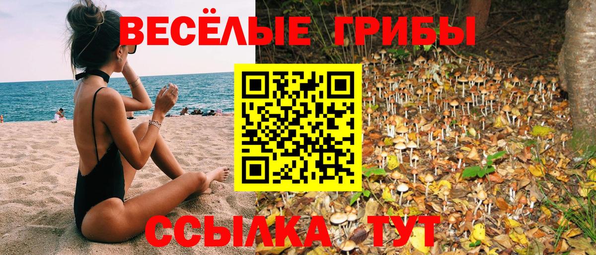 Галлюциногенные грибы Psilocybe Пушкино